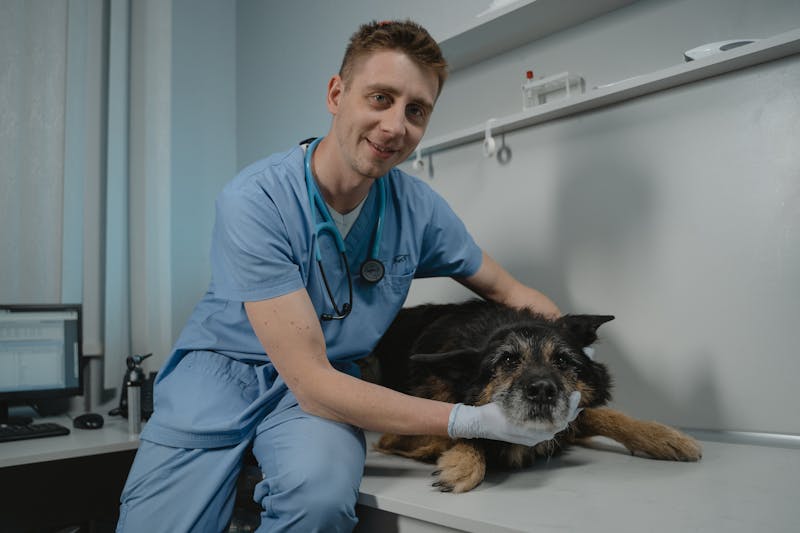 Furix Veterinary Marquee 7